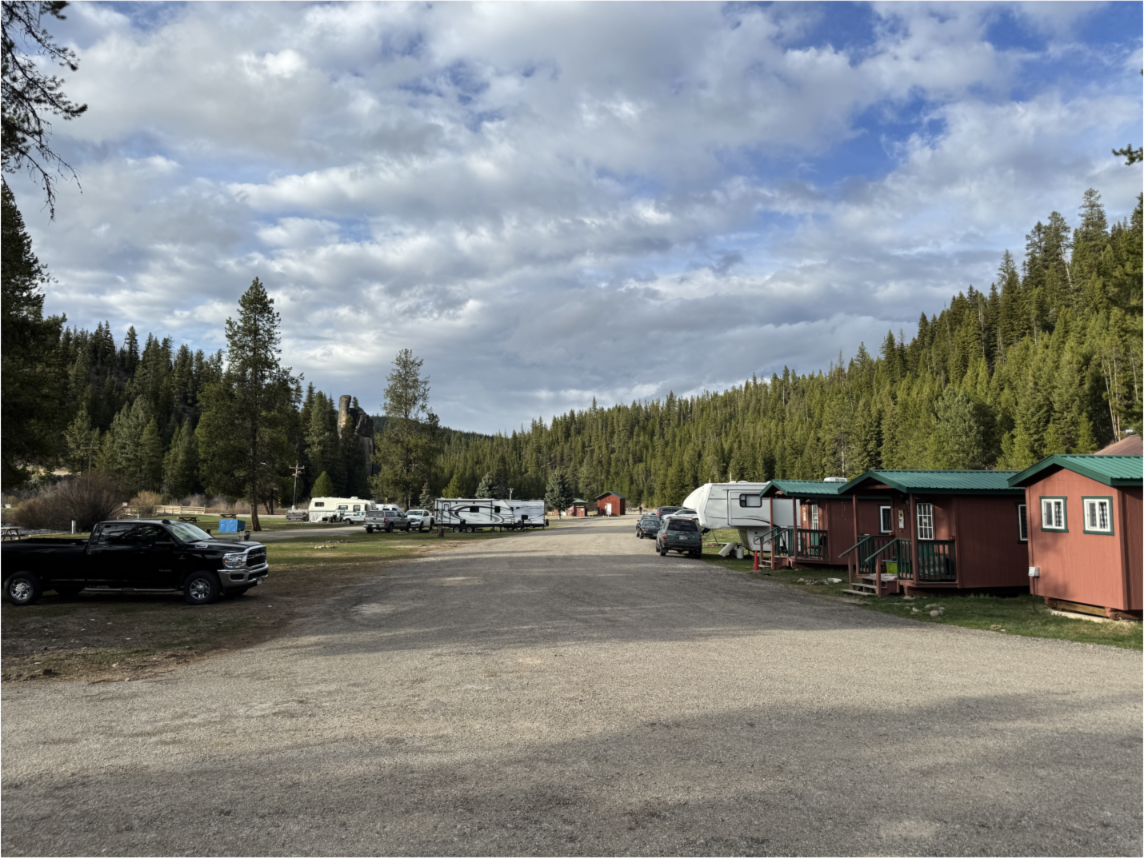 A small campground with cabins and rvs, surrounded by pine trees