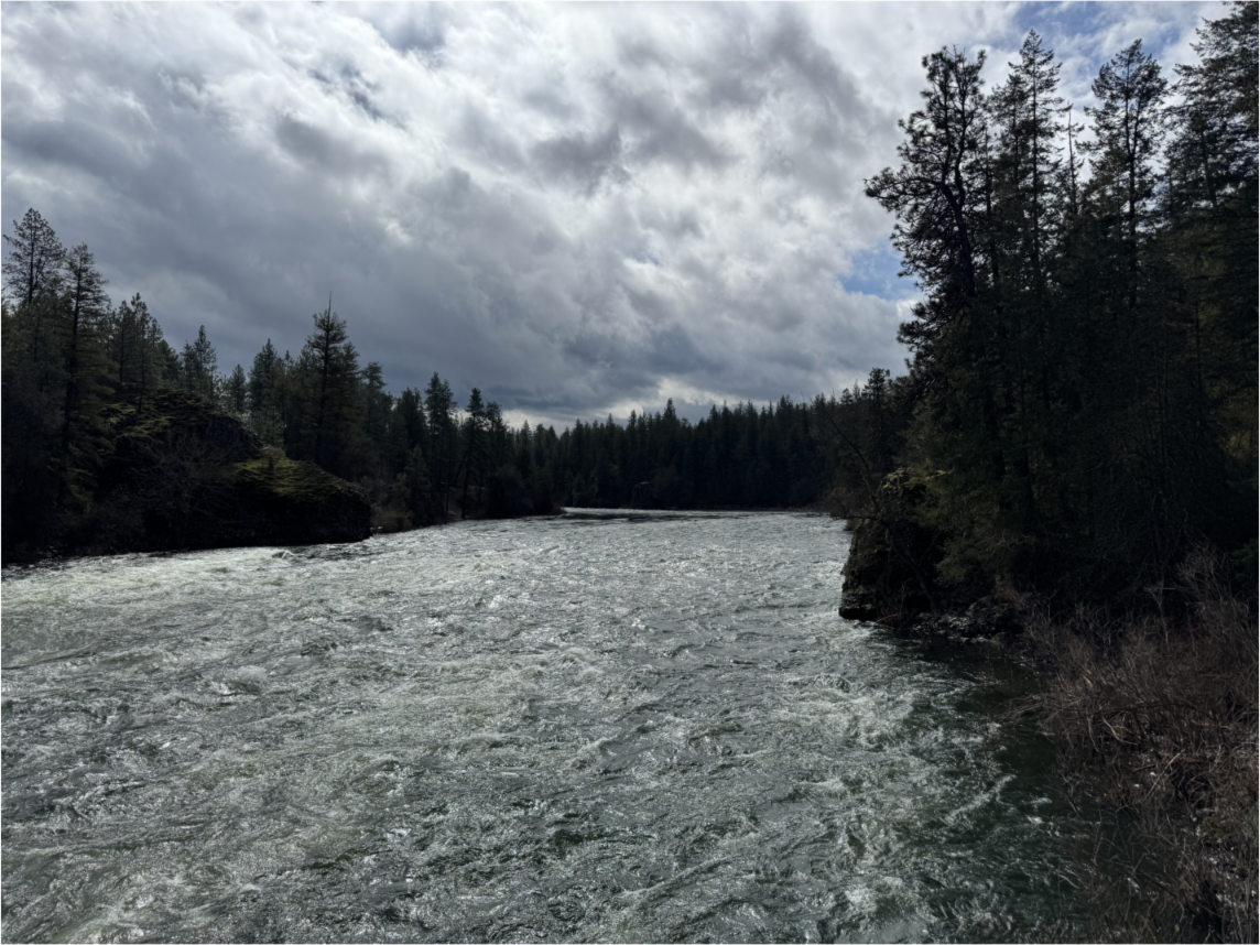 A deep blue river flanked by deep green pine trees