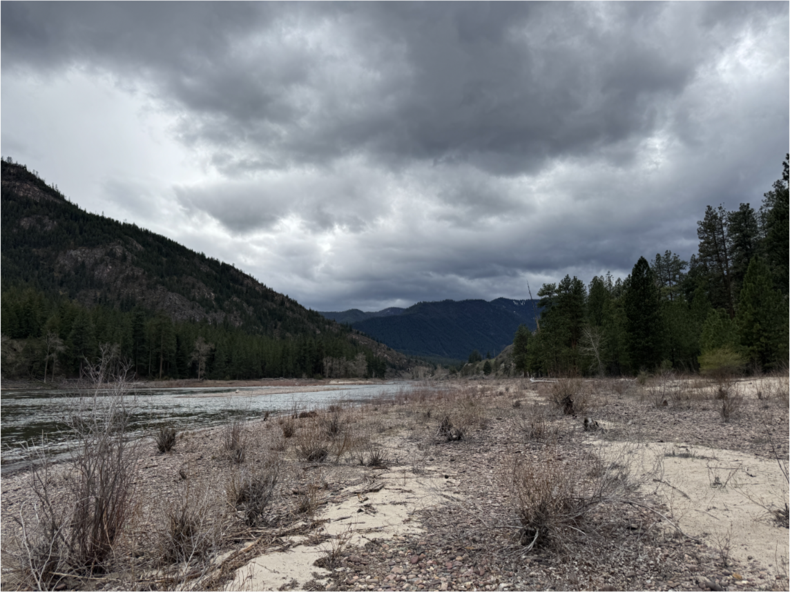 On the banks of a river pine tree covered mountains flank each side