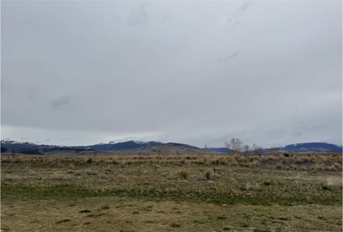 Mountains in the far distance with montane type shrubbery